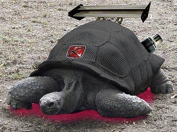 Cam Rüzgarlığı Modelleri