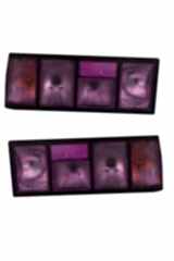 Tofaş Şahin Doğan Slx 95 Stop Lambası Mor Sağ Sol 1tk Duysuz