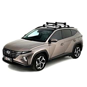 Turtle Tavan Kayak ve Snowboard Taşıyıcı Gri Apex 6