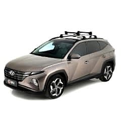 Turtle Tavan Kayak ve Snowboard Taşıyıcı Gri Apex 6