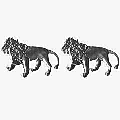 Aslan Logo / Yacı60