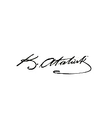 Metalize Sticker (İmza) Yacı125