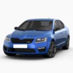 Octavia 2014-2016 Uyumlu İçin Rs Ön Tampon Panjur Parça