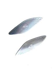 Mercedes W177 Uyumlu A Serisi 2019+ Burmester 2 Parça - Tweeter