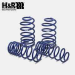 Tesla Model Y 4WD H&R Spor Yay -40mm